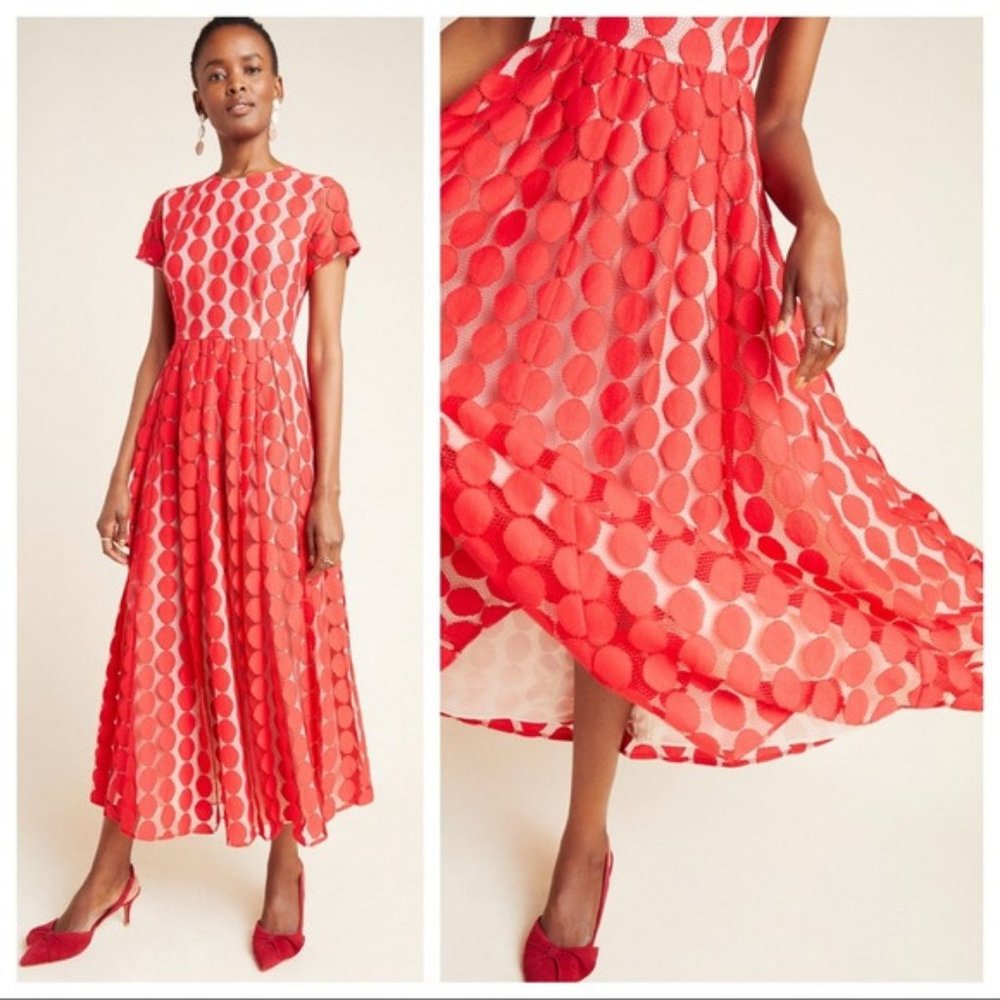 NWT Anthropologie - Waverly Grey Remi Maxi Dress 4